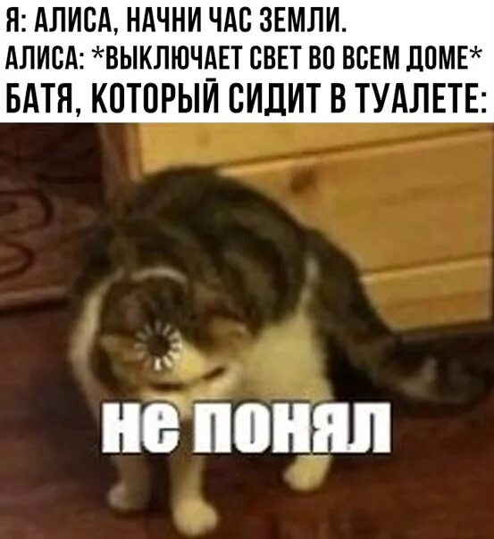 Понял осознал. Кот не понял. Не понял Мем кот. Не понял Мем кот с загрузкой. Понимающий кот.