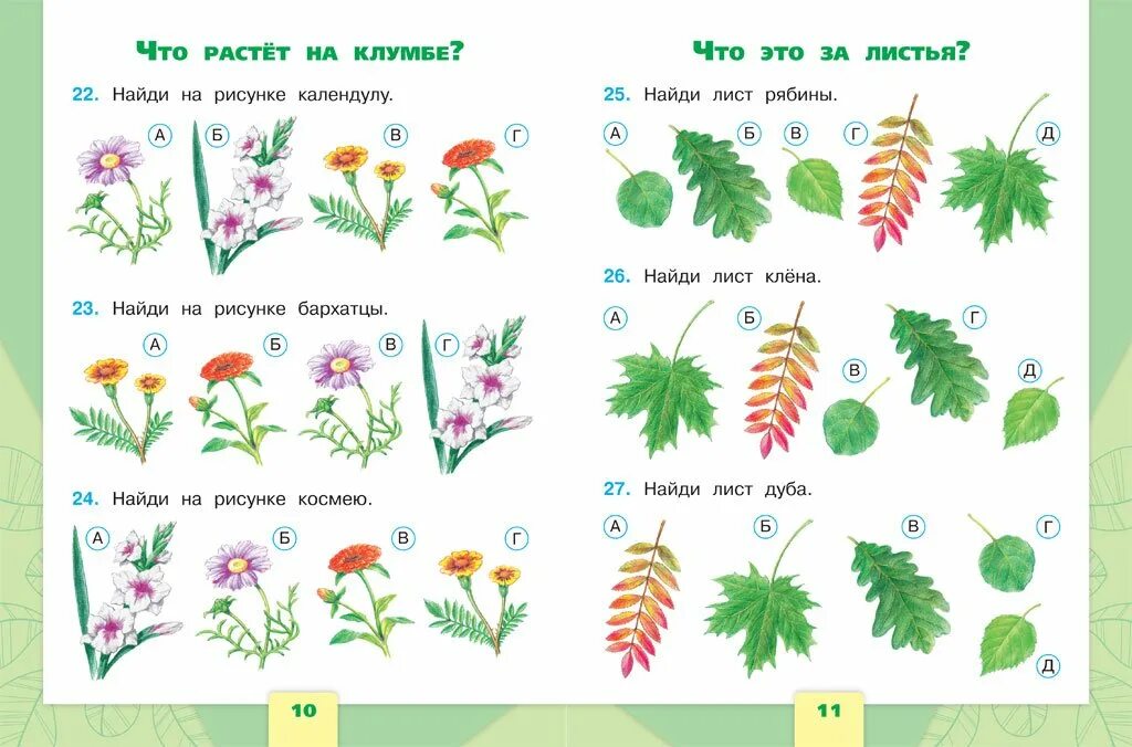 Растения задания для дошкольников. Задания по окружающему миру 1 класс. Растения для дошкольников. Растительный мир для дошкольников.