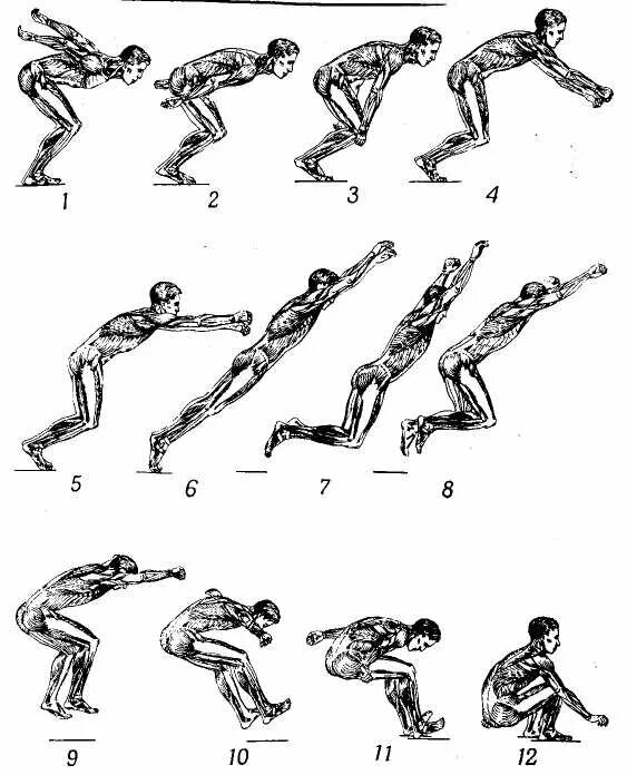 Техника прыжка в длину с места. Как правильно прыгать прыжки в длину. Схема прыжка в длину с места. Техника выполнения прыжка с места.