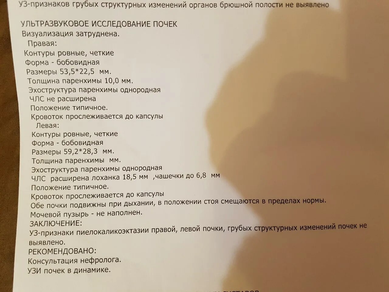 Размеры члс