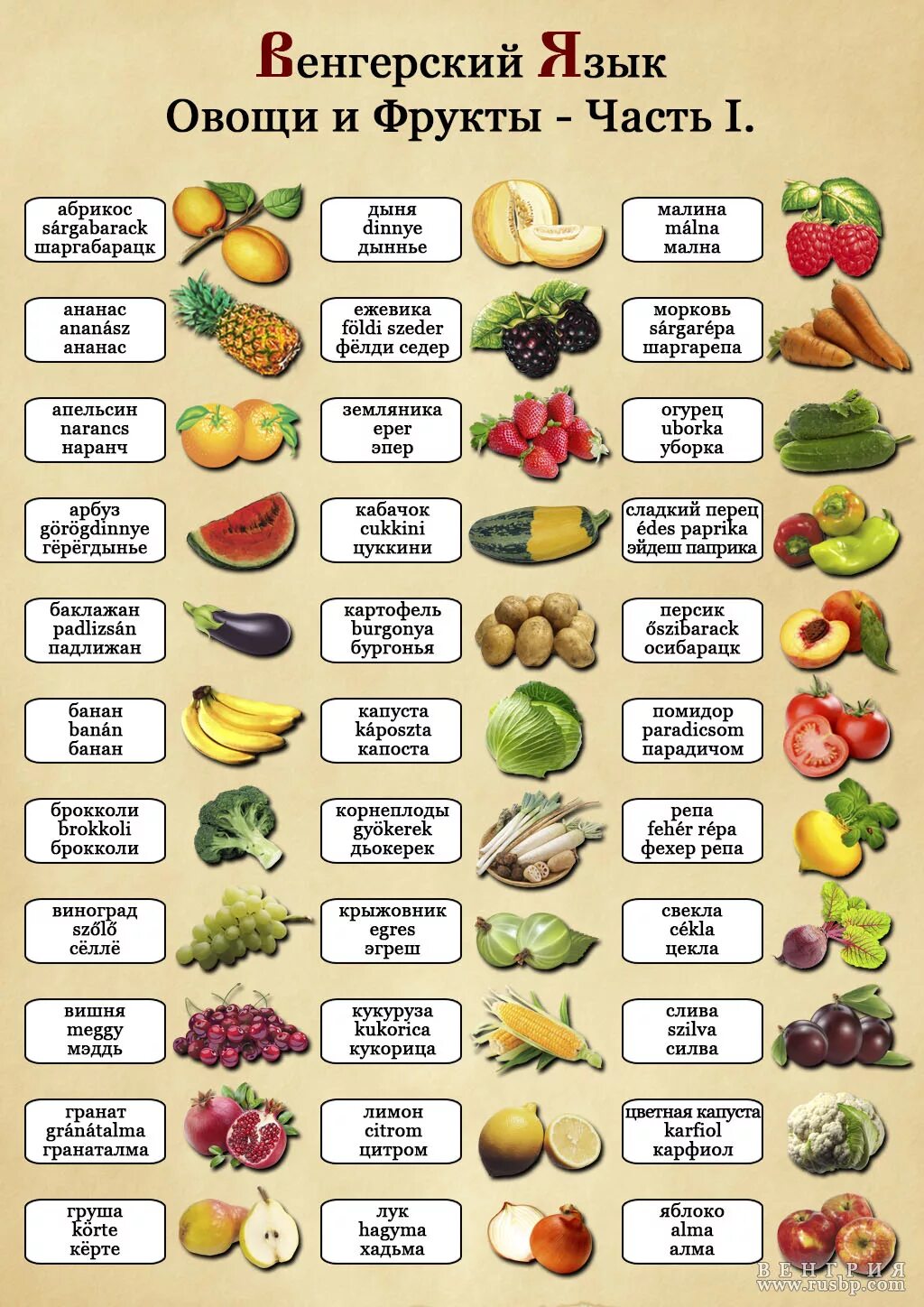 Названия фруктов на русском языке. Фрукты список. Овощи список. Овощи и фрукты список. Название овощей и фруктов по алфавиту.