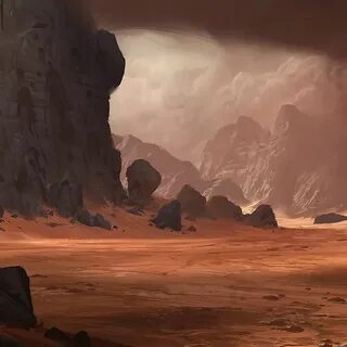 Desert environment