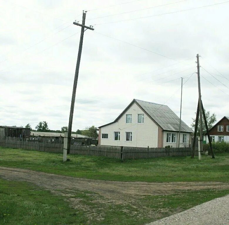 Ст озимая школа ст озимая алтайский край гусиное озеро. Поселок поспелиха алтайского края. Ст озимая. Септориоз колоса озимой пшеницы. Озимовская сош.