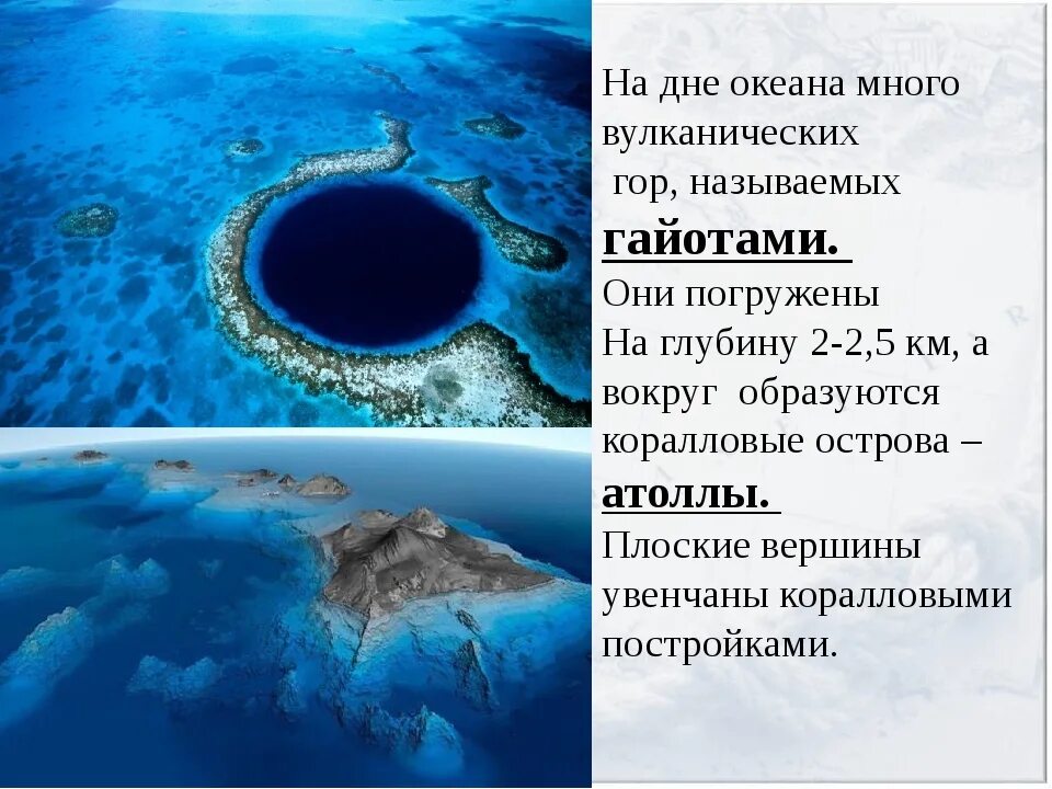 На дне 5 океанов. Интересные факты о тихом океане. Гайоты Тихого океана. Информация на тему тихий океан. 5 Интересных фактов о тихом океане.