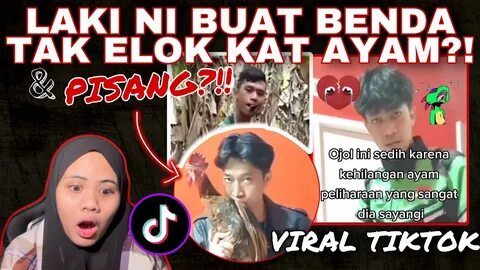 Prank sojol cantik