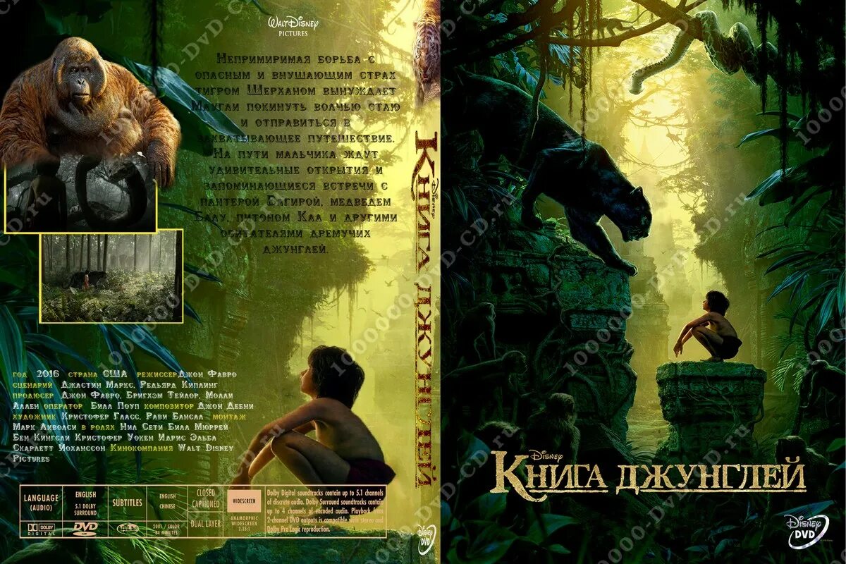 Закон джунглей книга 8. Книга джунглей 2016 DVD. Книга джунглей (+ книга) (DVD). Книга джунглей афиша. Книга джунглей книга двд.