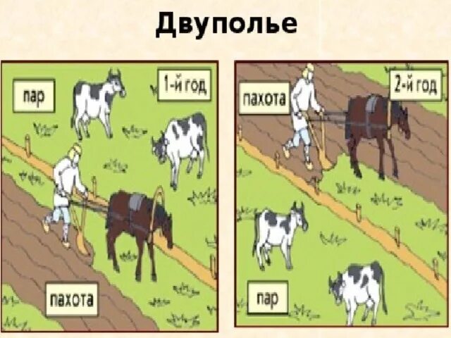 Двуполье система земледелия. Система земледелия трехполье. Двуполье система земледелия. Трехпольная система земледелия в 17 веке. Трехполье и двухполье схема.