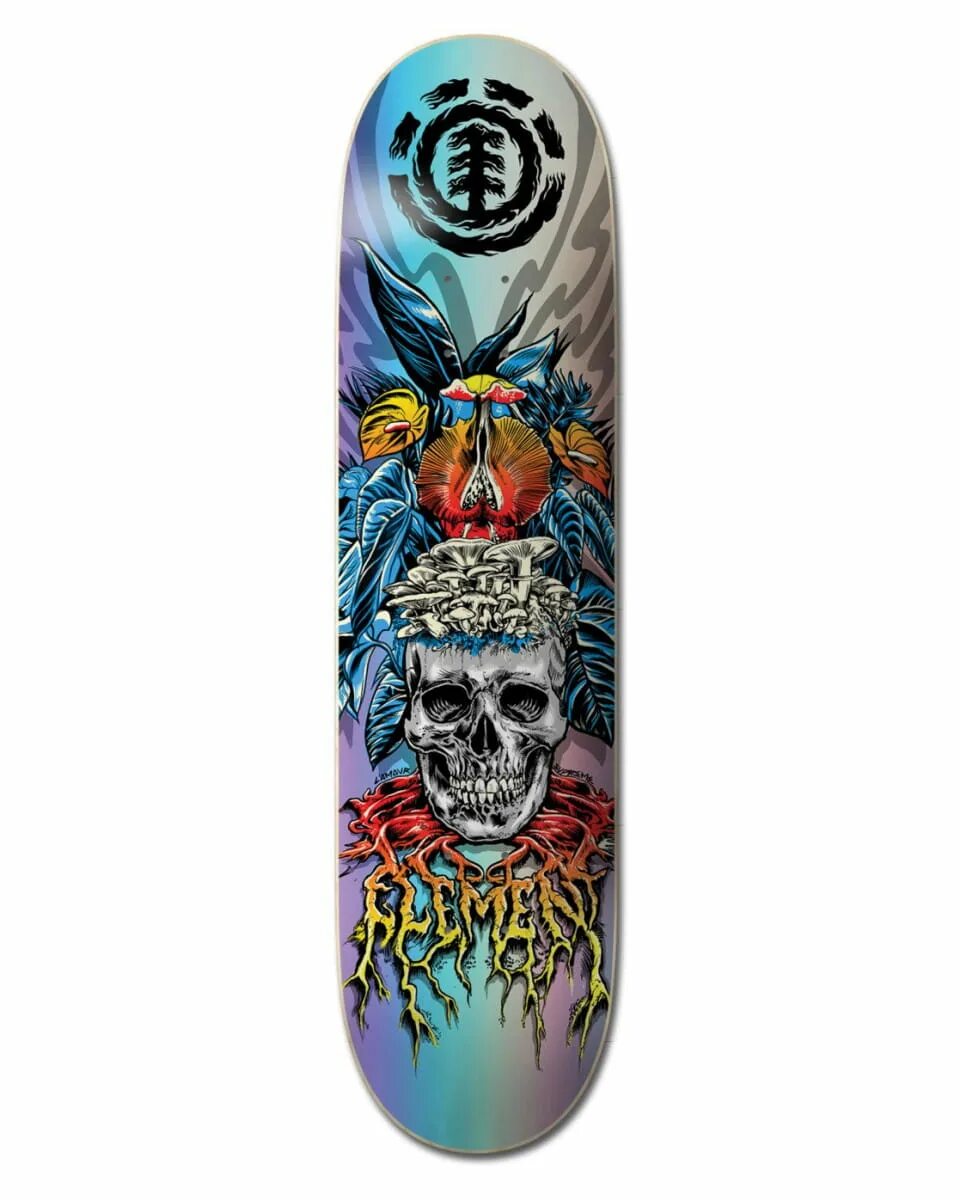 Деки для скейтборда element. Supreme skull skate deck. дека для скейта element 8. скейтборд element timber high dr. дека скейт gengar.