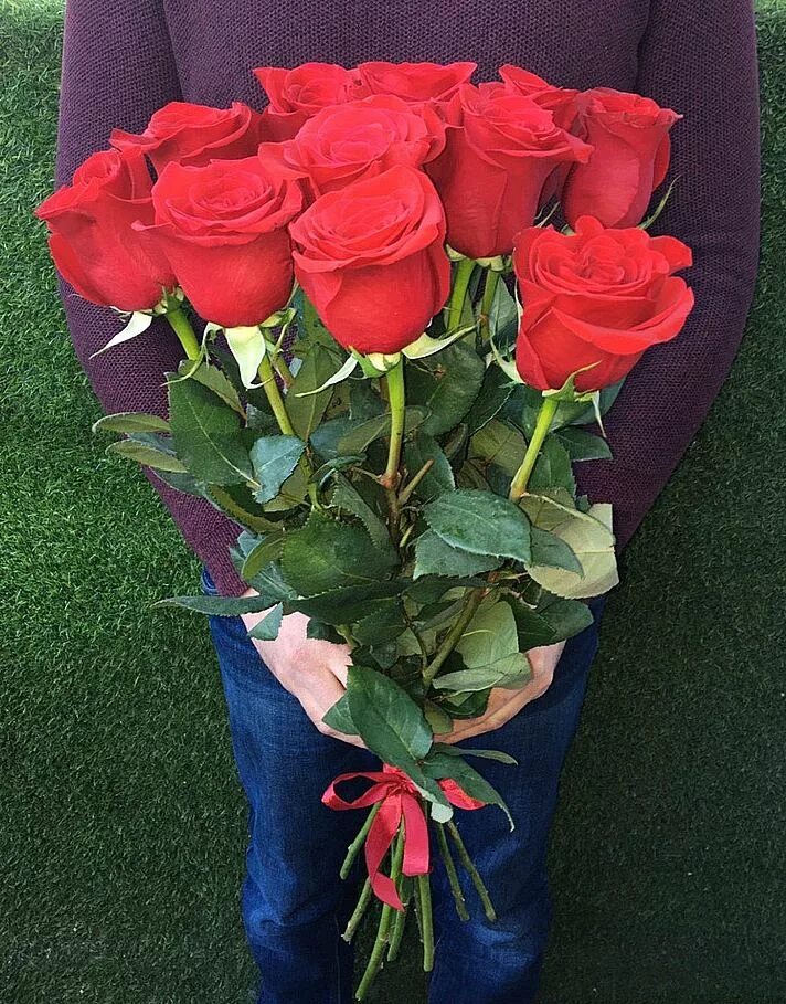 Букет роз 11 штук. Розы Эквадорские 11 штук. Букет из 11 эквадорских роз.