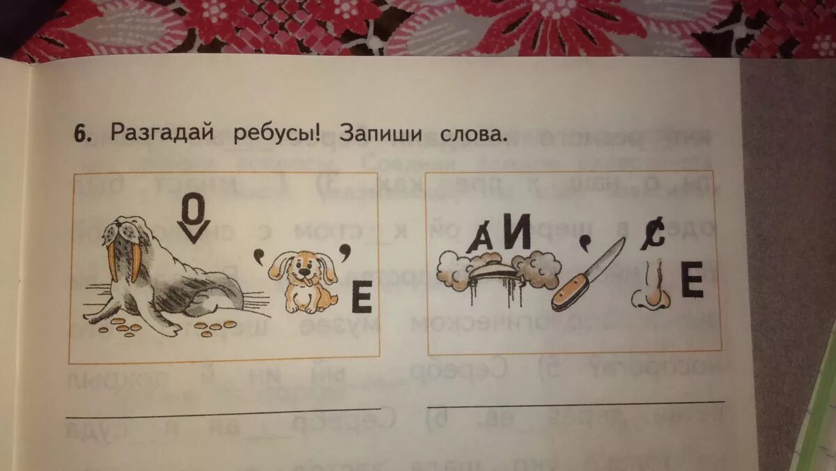 Разгадать ребус по фото. Разгадай ребусы запиши слова. Разгадать ребус 1 класс по русскому языку. Кубановедение Разгадай ребус. Разгадать ребус запиши слова.