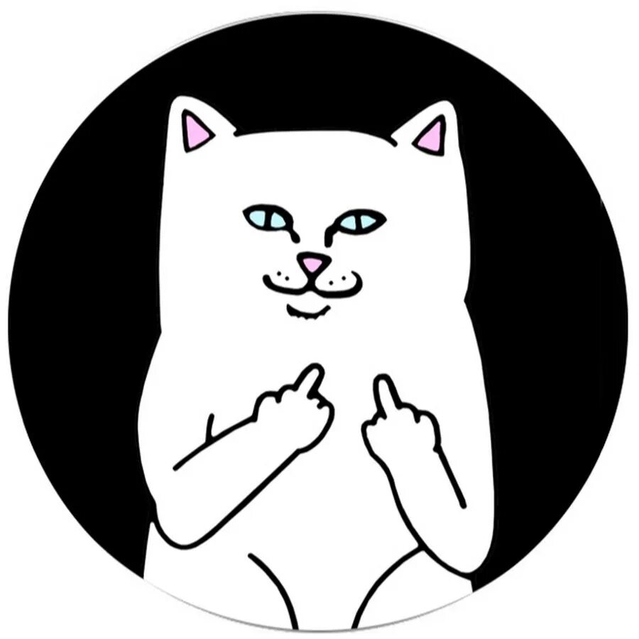 Котик с факом. Кот с факом Мем. Наклейки с котами. Кот белый стикер