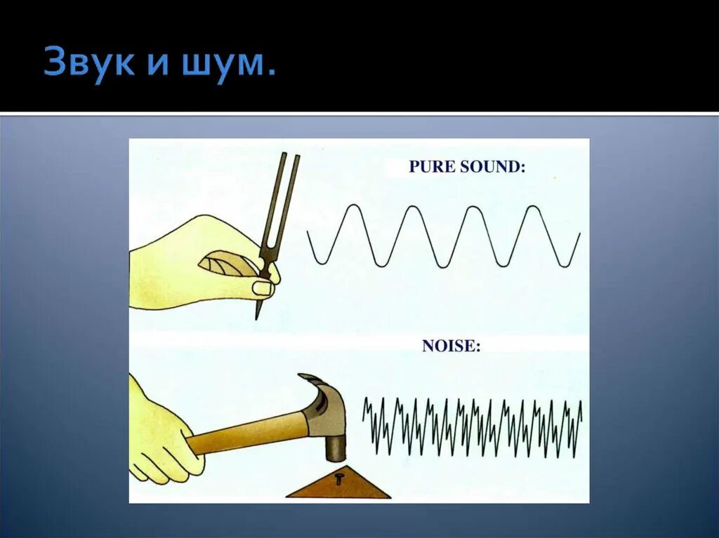 Звук шум измерение. Звук и шум. Шумовые и звуковые звуки. Шум звука в физике. Тоны и шумы звука.