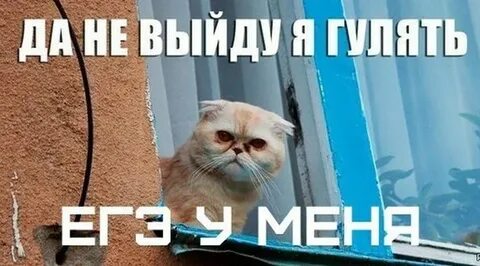 Я не смогу гулять