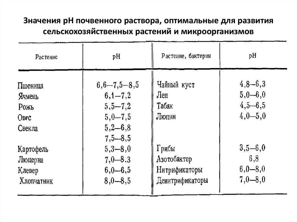 Питательные элементы почвы. Ph таблица кислотности для растений. кислотность почвы таблица ph. гидролитическая кислотность почвы таблица. оптимальные уровни ph для растений таблица.