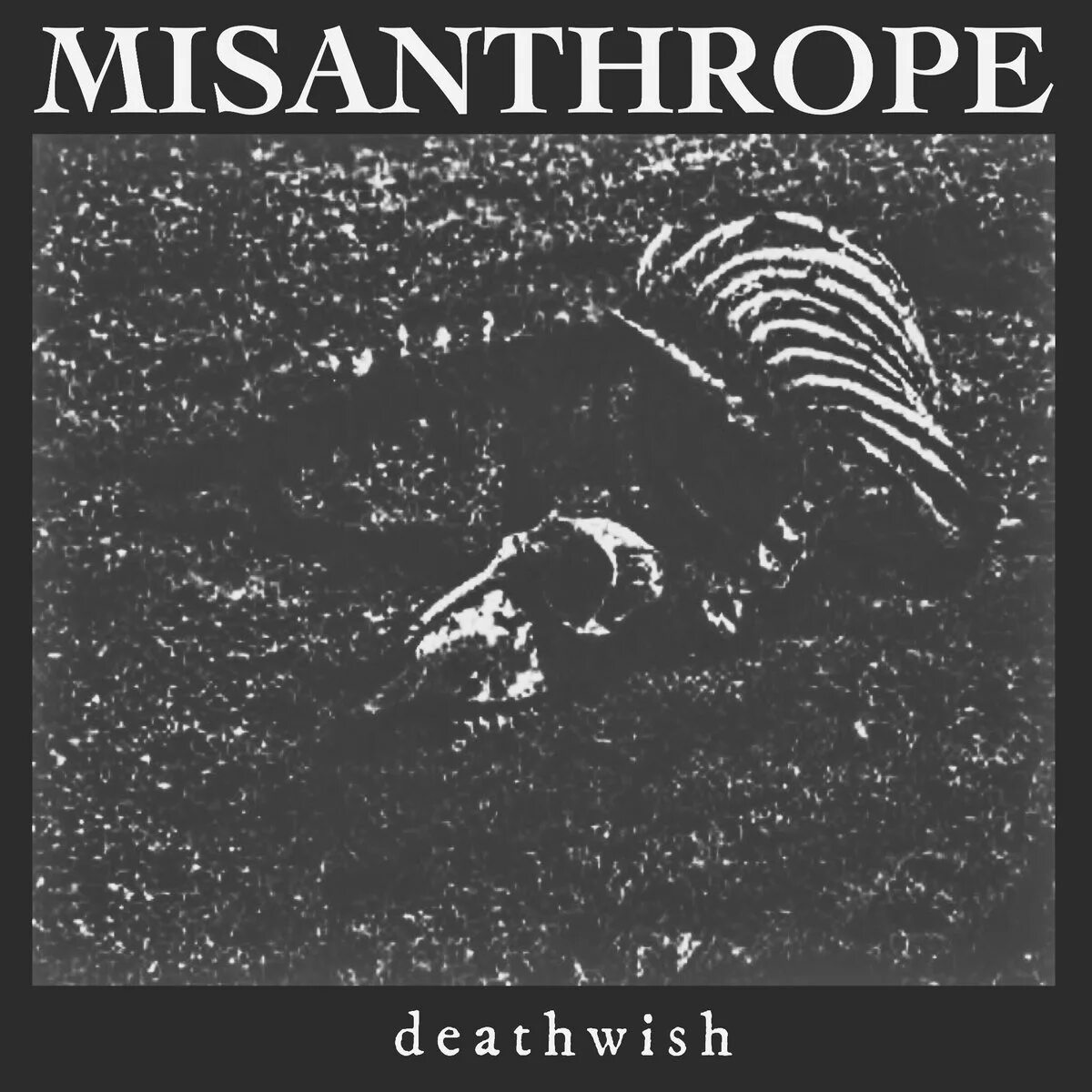 Радикальная мизантропия. Оп мизантроп. Мизантроп музыка. Мизантроп музыка. Misanthrope.