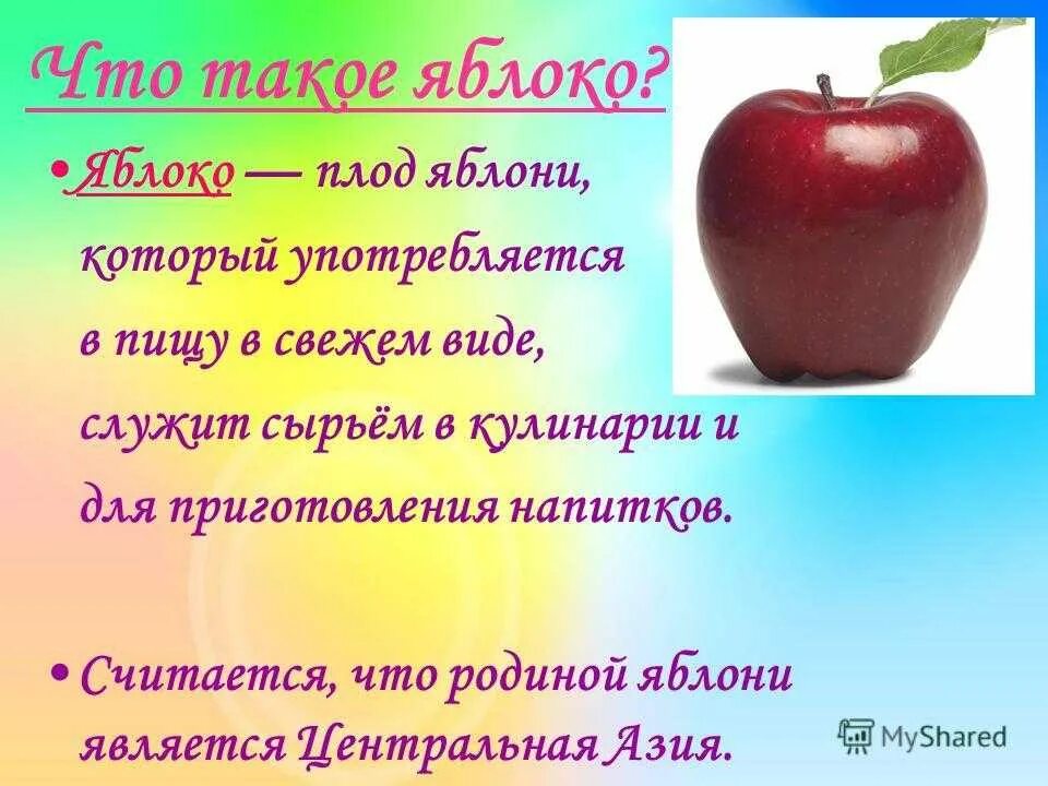 Яблоня какой класс. Доклад о яблоке. Яблоко для презентации. Презентация на тему яблоко. Проект на тему яблоня.