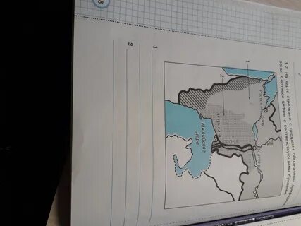 Для этой природной зоны характерны