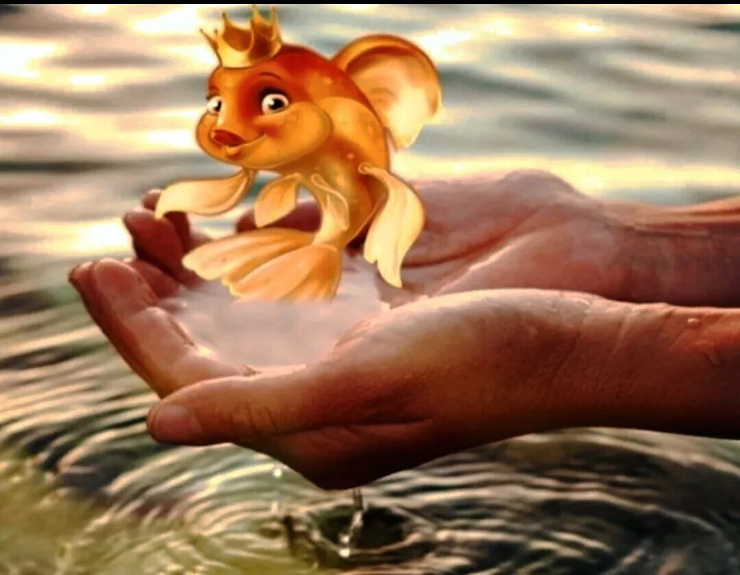 Сказочная рыбка. Сама рыбка золотая. Сама рыбка золотая. Скаскапушкина золотая рыбка. Золотая рыбка веерохвост красный.