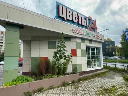 Магазин цветов вологда