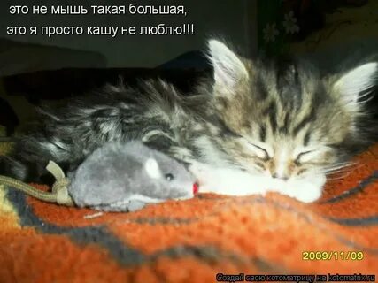 Любимый запах мышей