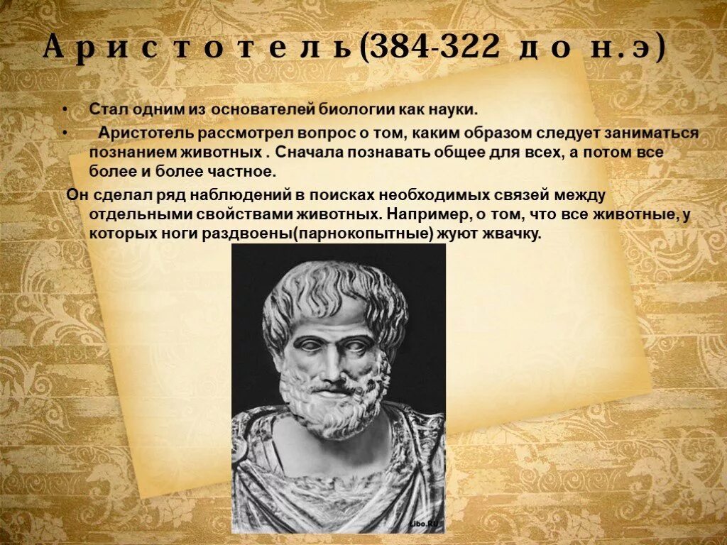 Аристотель ученый биолог. Аристотель Гиппократ его вклад в науку. Аристотель 384-322 до н.э вклад в биологию. Аристотель вклад в биологию 8 класс.