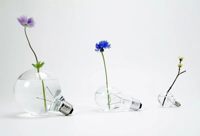 Лампа накаливания для цветов. Лампа рефлакс для рассады. Лампа с цветами. Лампочка с цветами. Лампочка с цветком внутри.