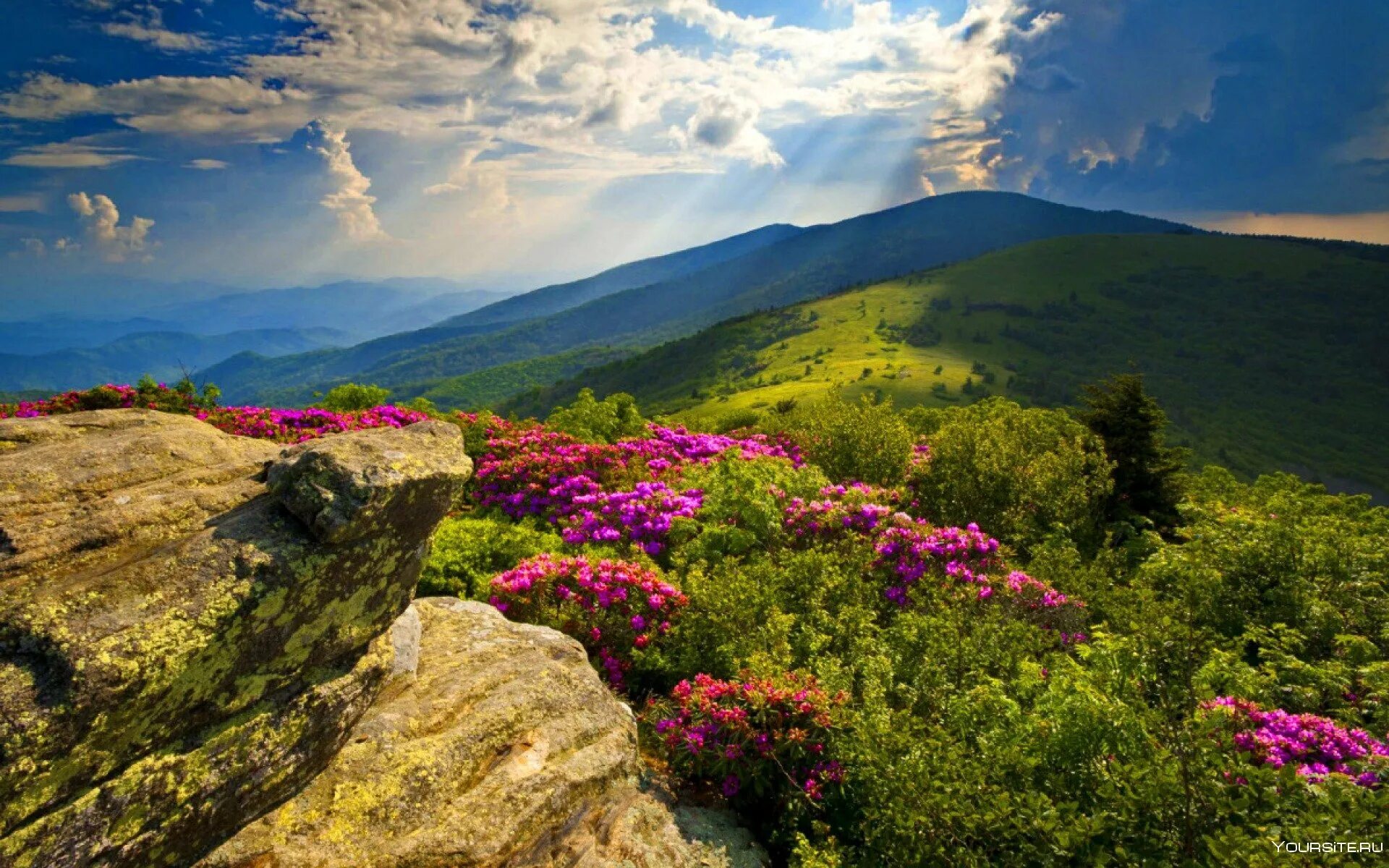 Горы аппалачи. Аппалачи. Национальный парк грейт-смоки-маунтинс. Северная америка горы аппалачи. Аппалачи сша.