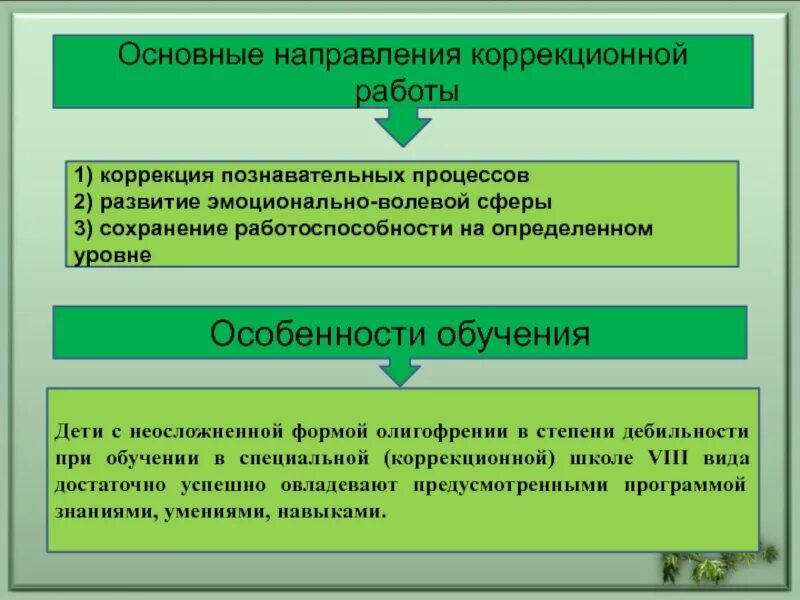 Программа коррекция познавательных процессов. Эмоционально-волевая сфера при умственной отсталости. Коррекция неосложненной формы олигофрении. Неосложненные формы олигофрении фото.