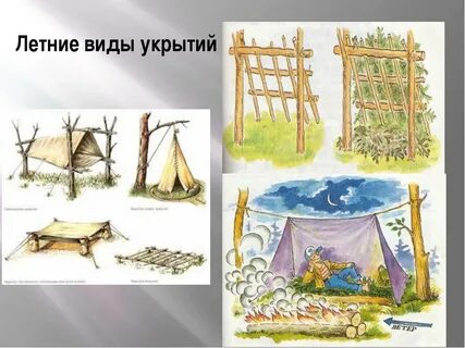 Виды укрытий в лесу