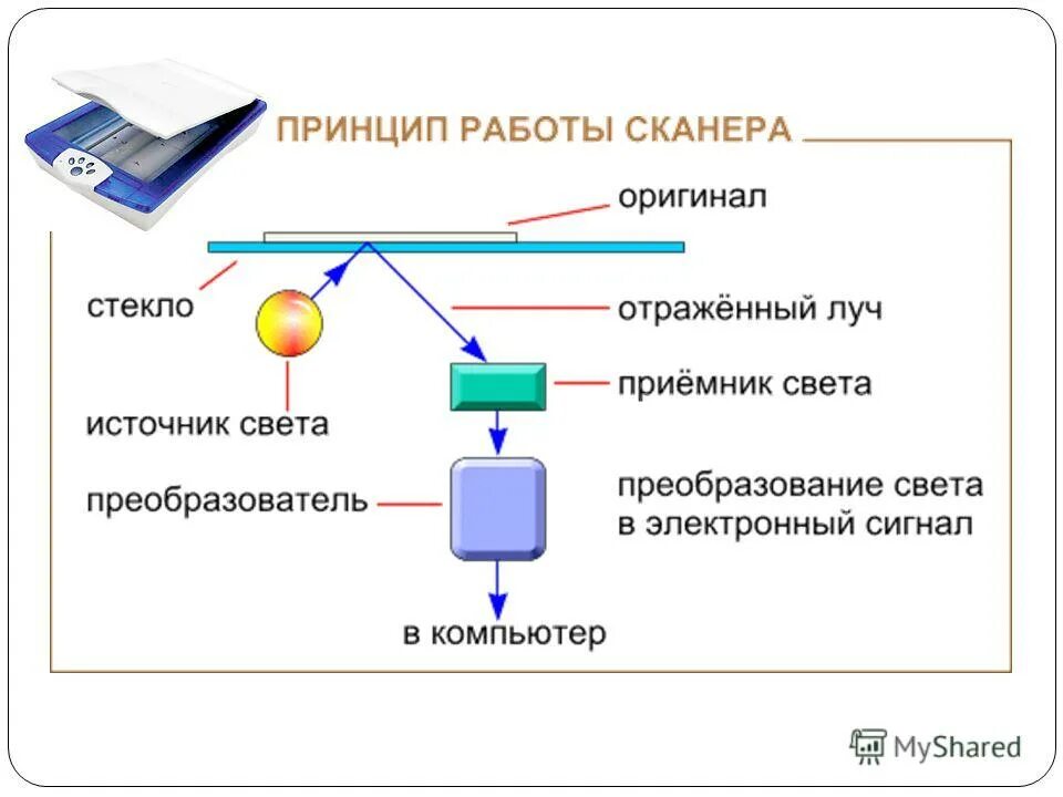 Принцип работает. Принцип работы сканера кратко. Устройство сканера принцип работы. Принципиальная схема планшетного сканера. Схема работы сканера.