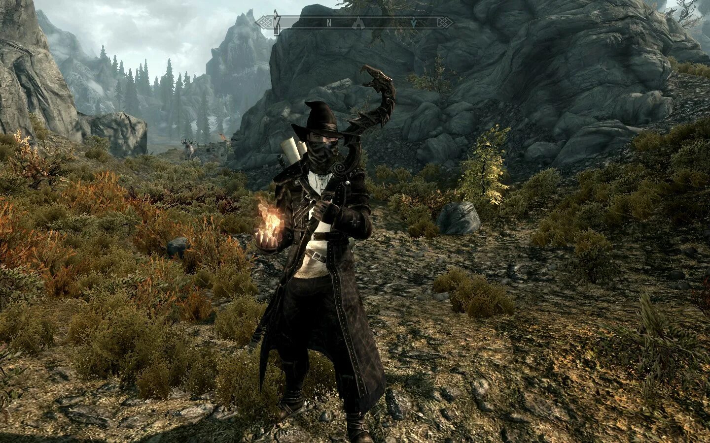 The elder scrolls сколько весит