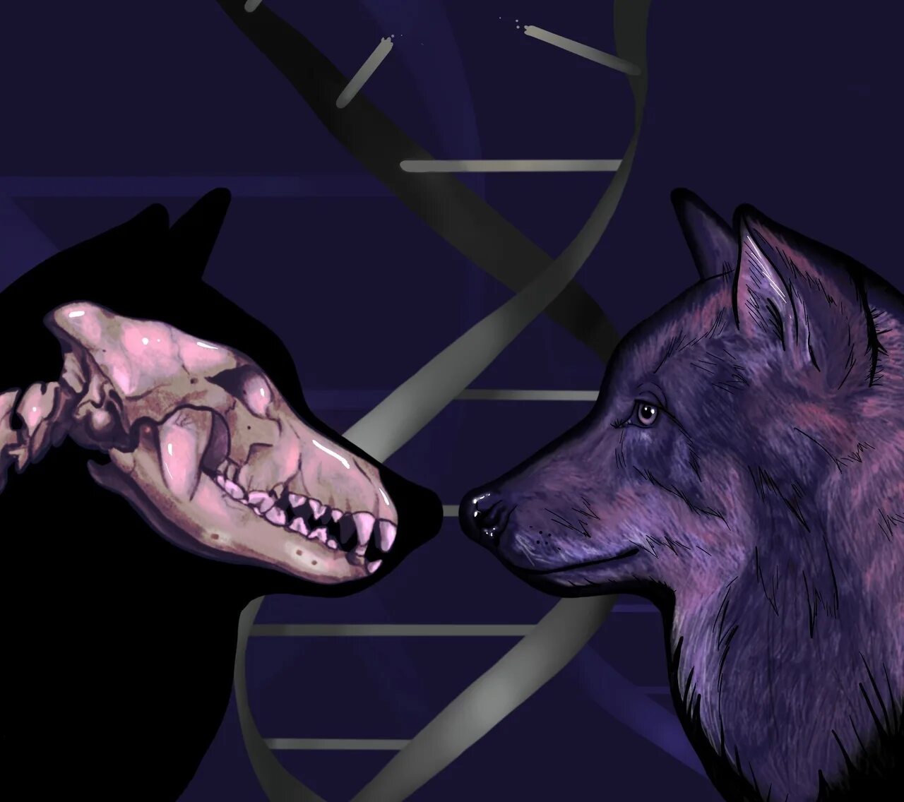 Древний волк. ДНК волка. Волк предок собаки. Собаки произошли от волков