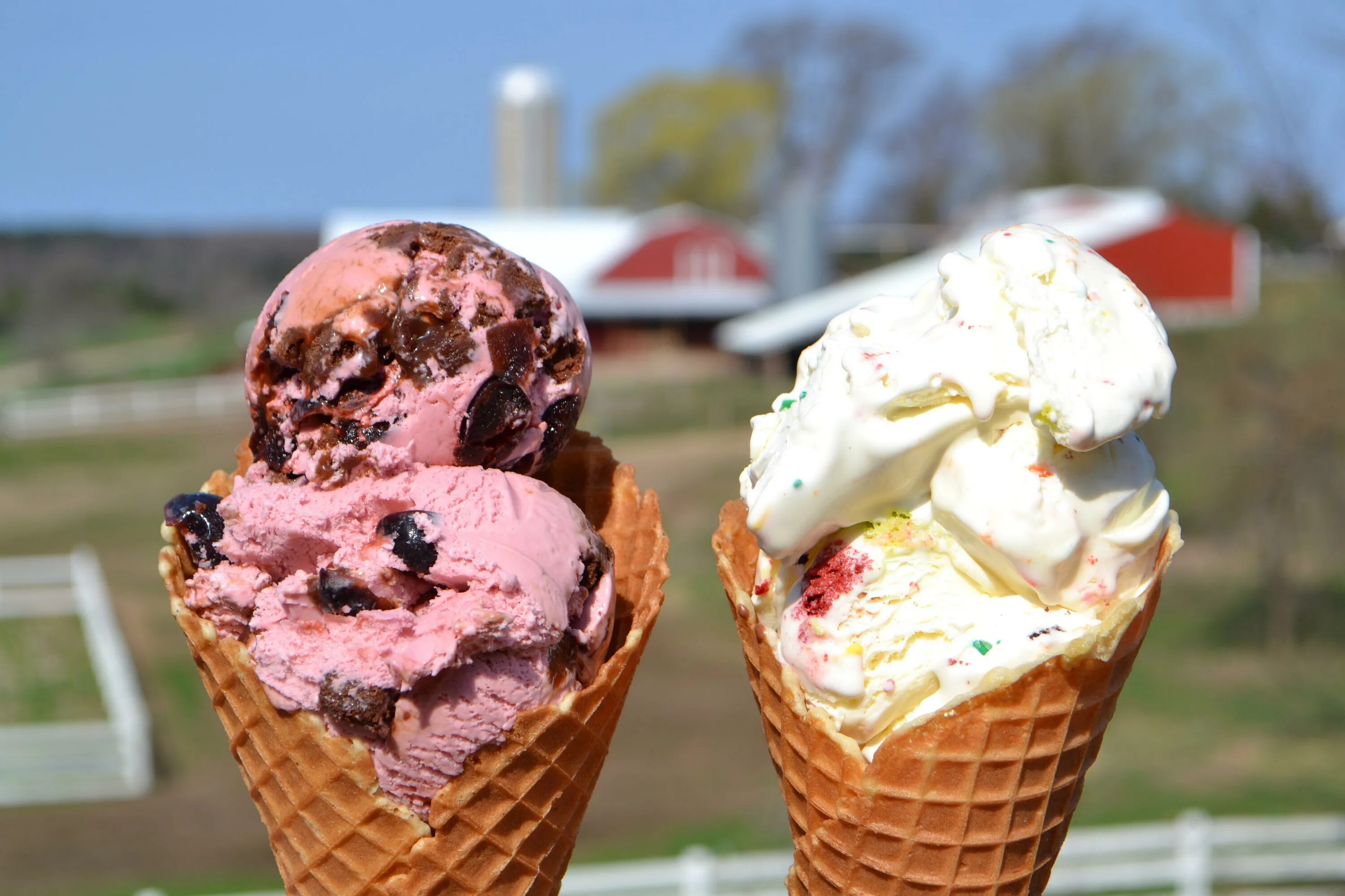 Мороженое айс Крим. Айс Крим мороженщик. Ice Cream Ice Cream мороженщик. Мороженое в вафельном рожке. They likes ice cream