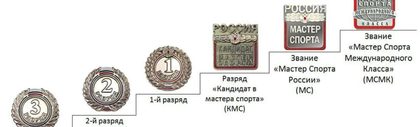 Титул александра 2. Как получить титул первый. Табель о рангах российской империи 19 века таблица. Значок за 3 юношеский разряд по боксу. Книжка спортсмена 1 разряд и кмс.