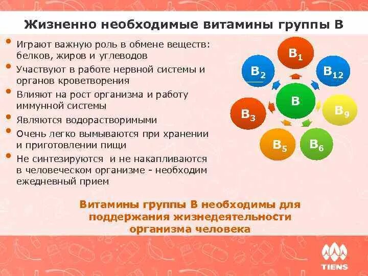 За что отвечают витаминымгруппы в. Витамины группы в за что отвечают. За что отвечают витамины группы b. Роль витаминов в теле. Влияние витаминов группы