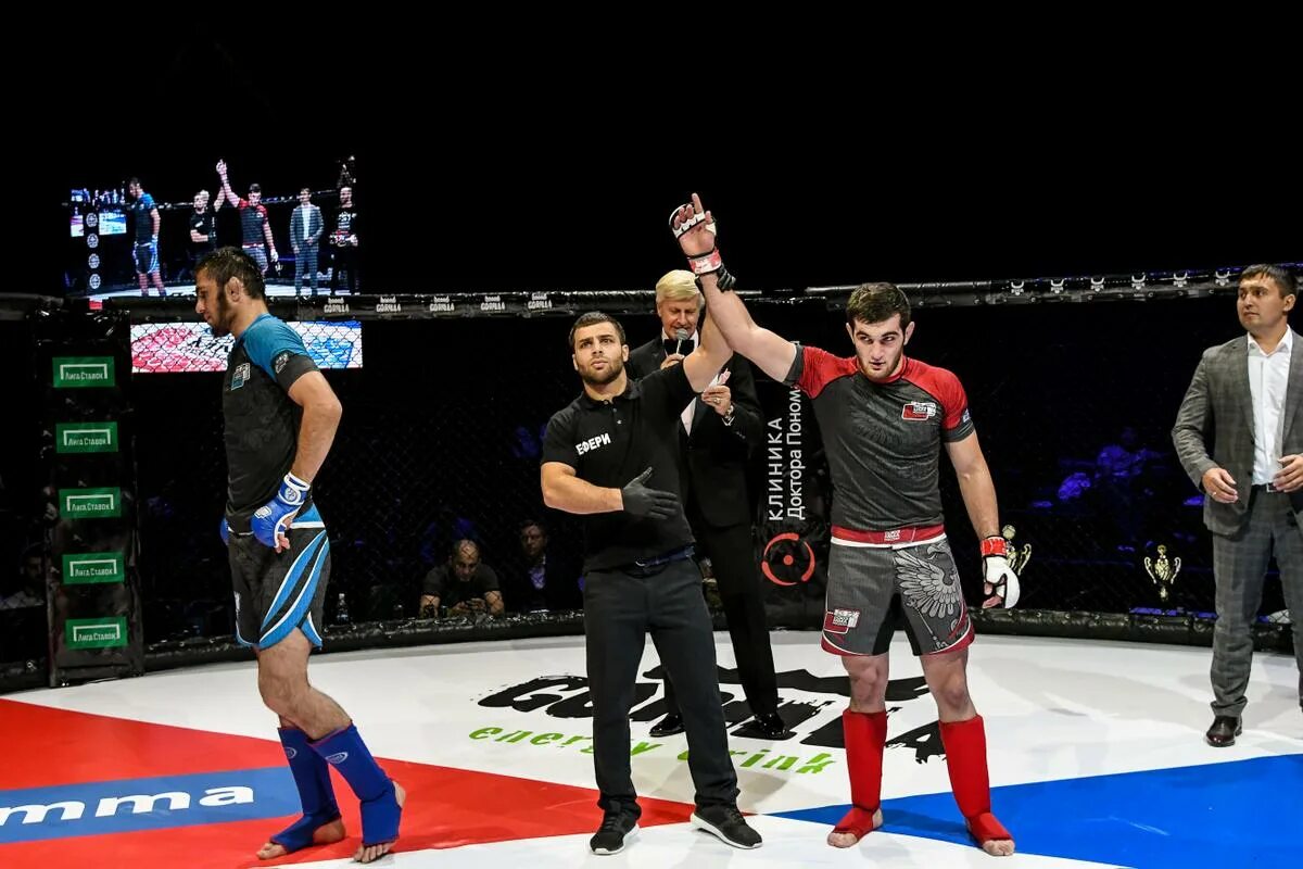 Союз мма россии логотип. Ким йе рим mma 2019. Джамал меджидов боец. Союз мма россии эмблема. Союз мма.