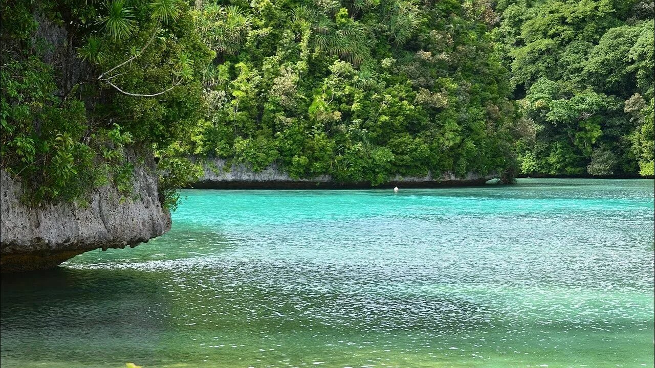 Ojo de liebre lagoon