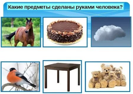 Тест природа и предметы созданные человеком 2