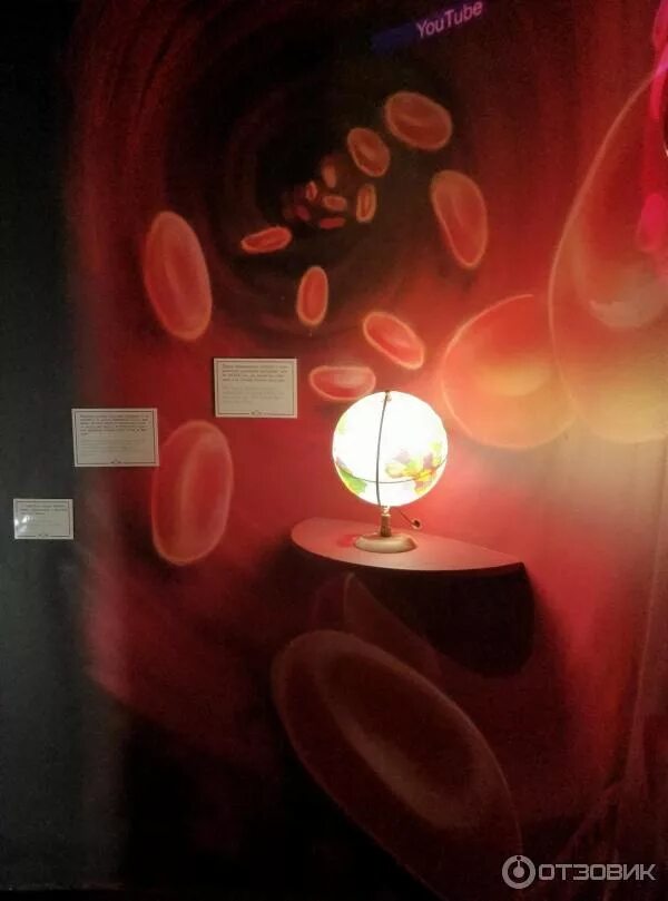 Музей внутри человека в санкт-петербурге. Интерактивный музей внутри человека спб. Музей человека в санкт петербурге. Музей внутри человека в санкт-петербурге. Музей внутри человека в санкт-петербурге.