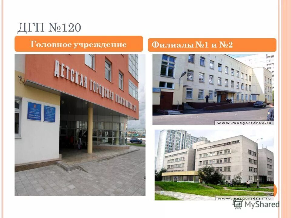 номер поликлиники 120