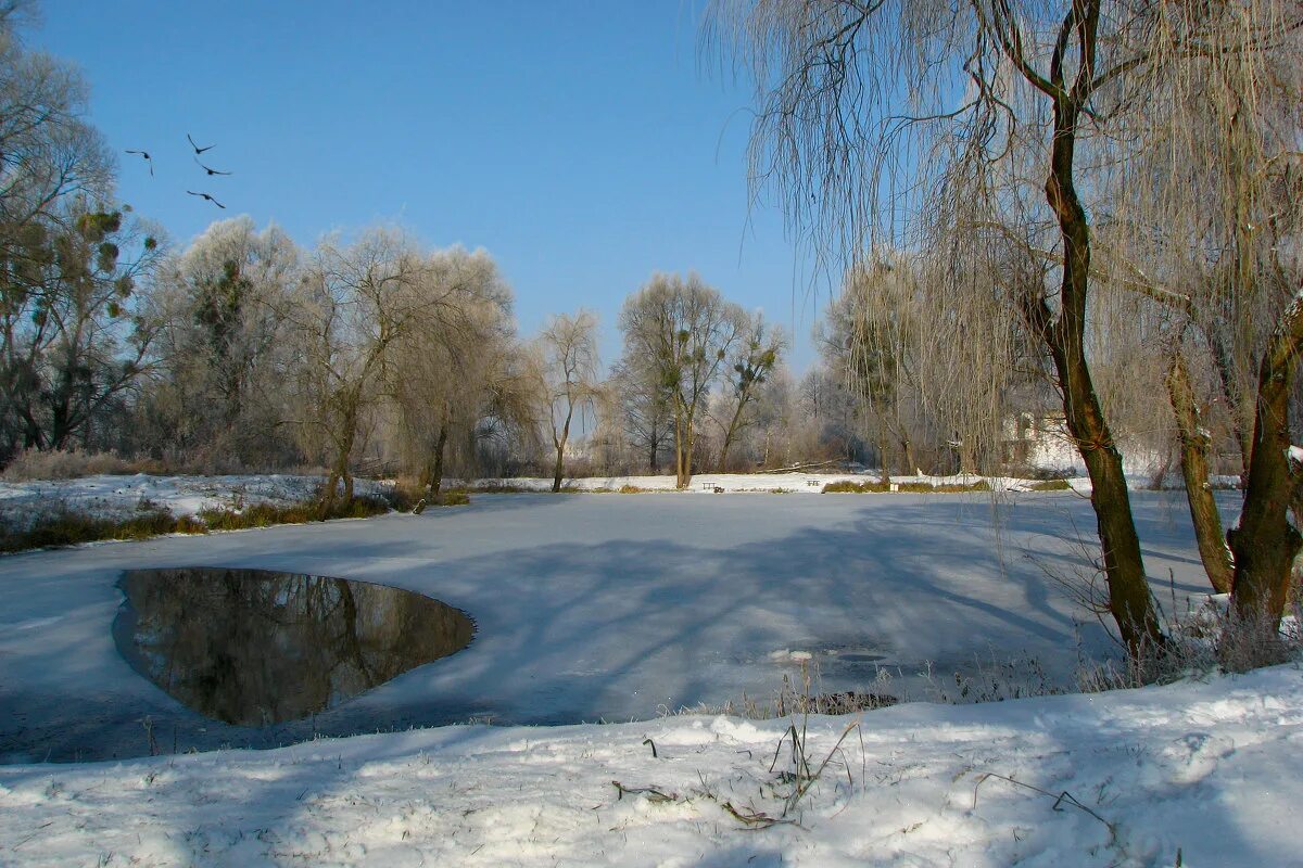Полынья. Полынь голубая. Полыньи на реке что это. Полынья зимой. Что такое полынью на реке.