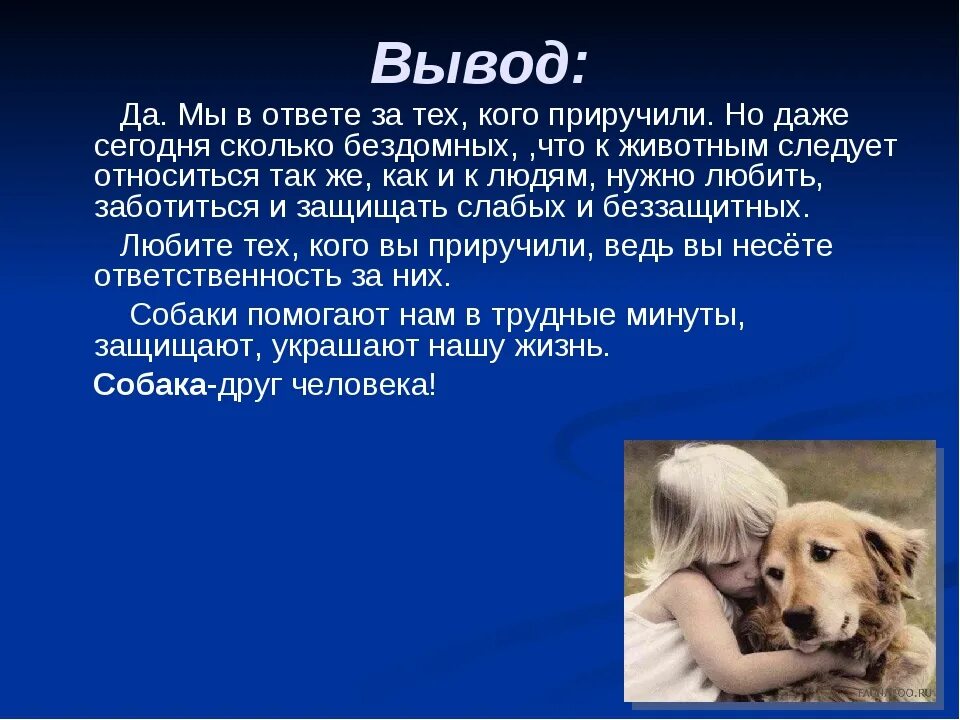 Сочинение почему собаку считают другом человека. Мы в ответе за тех кого приручили сочинение. Вывод про собак. Вывод на тему собака друг человека. Собака друг человека сочинение.