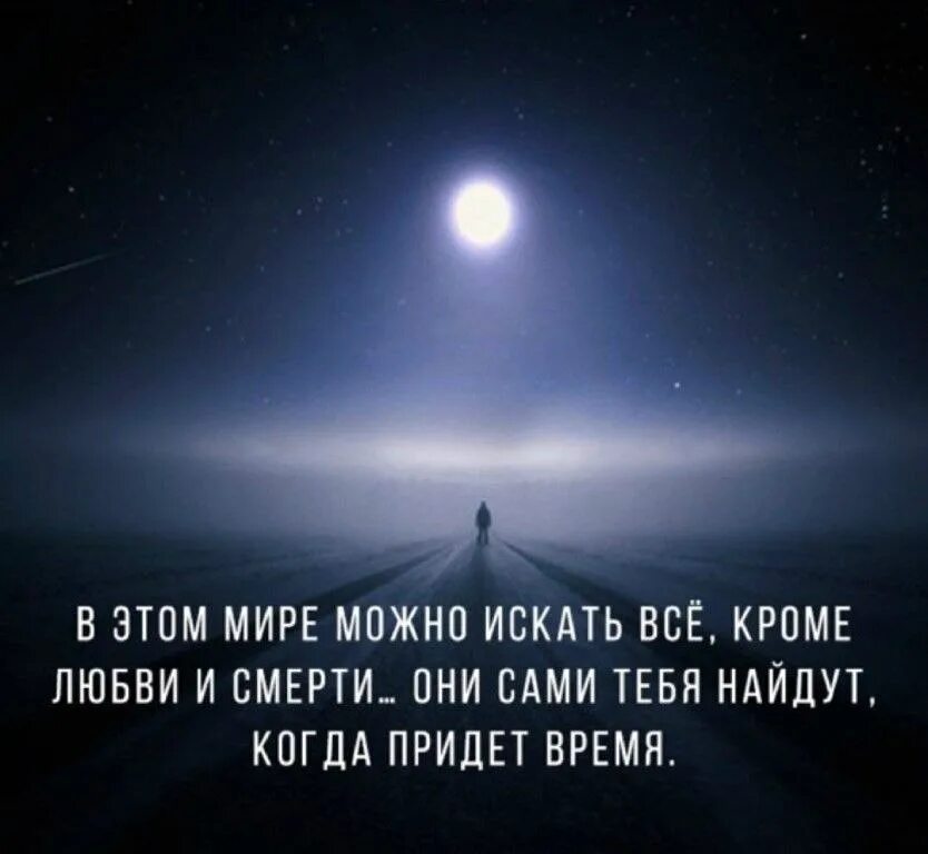 Бесполезно искать. Любовь и смерть найдут тебя сами. Все в этом мире. Любовь время смерть. В мире можно искать все кроме любви и смерти.