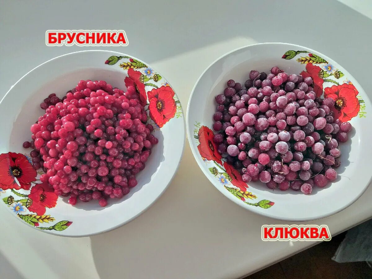 Клюква брусника брусника и клюква. Ягоды брусника и клюква. Клюква и брусника разница. Разница между клюквой и брусникой.