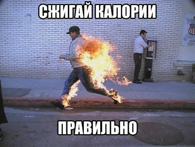 Хочу чтобы меня кремировали мем Архивы Новости Страница 583 из 1074 КПРФ в Ярославской области