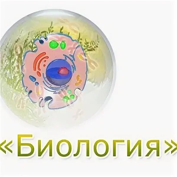 Химия банк тестов. Типовые экзаменационные задания. Банк заданий огэ. Tqdk. Фипи банк открытых заданий.