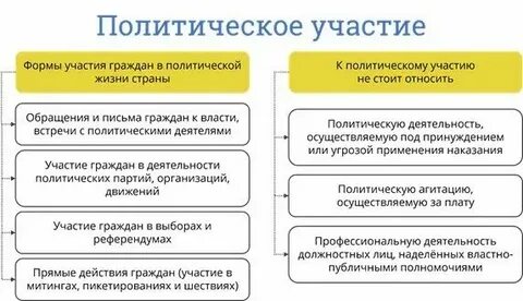 Схема способы участия граждан в политической жизни