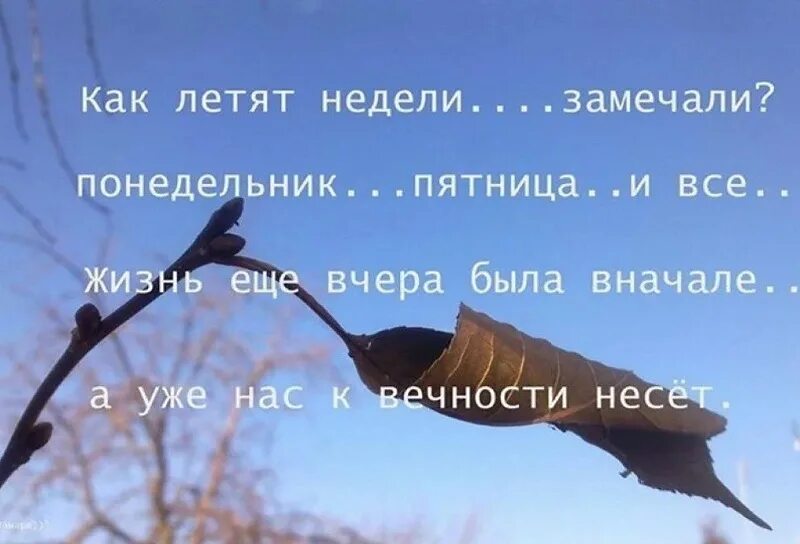 А жизнь летит аж шляпу. А жизнь летит аж шляпу
