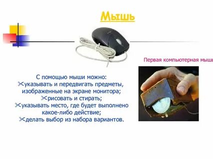 Как правильно писать мышь