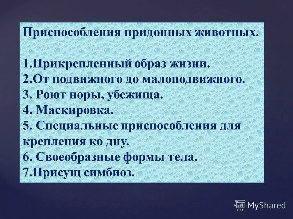 Прикрепленный образ жизни что это. Придонный образ жизни. Придонный образ жизни приспособления. Признаки придонного образа жизни. Прикреплённый образ жизни.